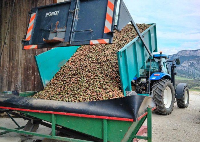 GAEC Ferme Royans Saveurs