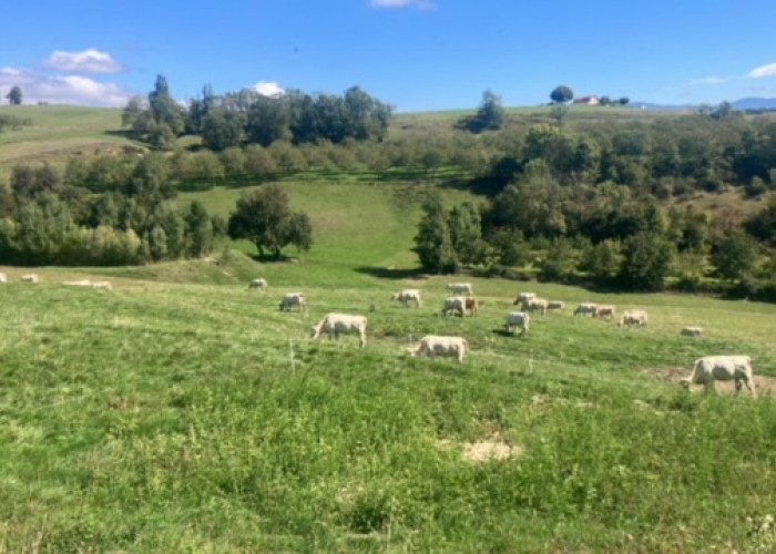 La Ferme Rousset