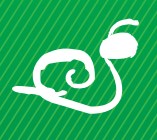 L'escargot de Montvendre